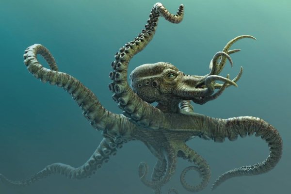 Kraken магазин tor