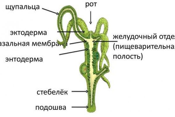 Зеркало kraken kraken16 at kraken16 at