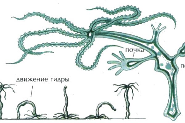 Kraken сайт покупок