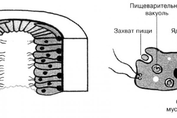 Кракен новый сайт