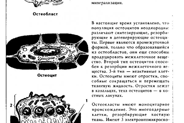 Кракен даркмаркет плейс официальный сайт