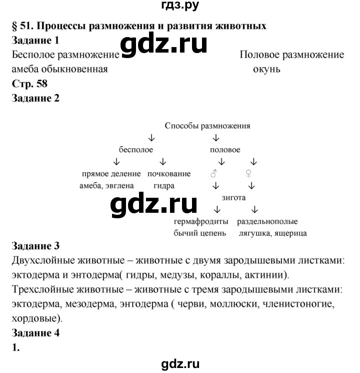 Блэк спрут зеркало